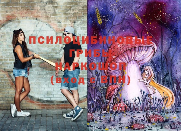 гидропоника Абаза