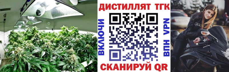 Дистиллят ТГК жижа что такое Луга