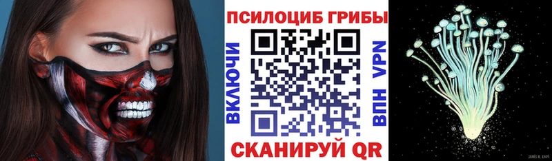 Галлюциногенные грибы MAGIC MUSHROOMS  закладки  blacksprut зеркало  Луга 