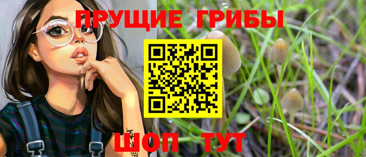 Псилоцибиновые грибы мицелий Луга