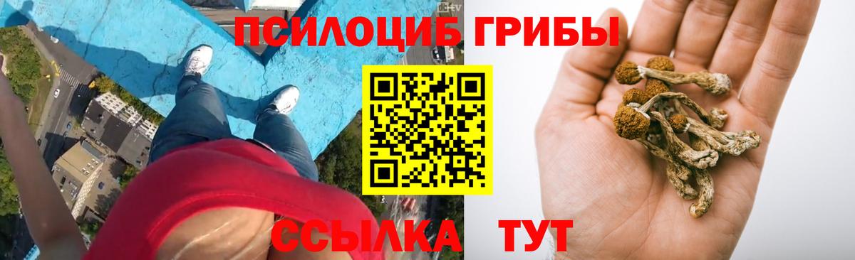 Псилоцибиновые грибы мухоморы  Псилоцибиновые грибы мухоморы  Луга  Вход с VPN 